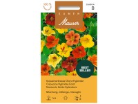 Kapuzinerkresse Glanz-Hybriden Kapuzinerkresse Glanz-Hybriden