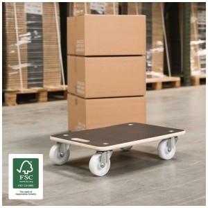 Wagner MM1609 aide au transport avec panneau multiplex et roulettes, chargée de cartons.
