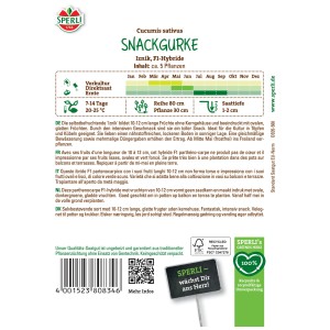 Sperli Graines de concombre snack Iznik F1, 5 plants. Graines potagères pour mini concombres croquants et autofertiles.