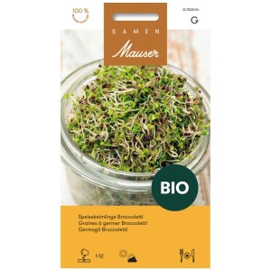 Graines germées de Broccoletti dans un bocal en verre, épicées et riches en calcium.