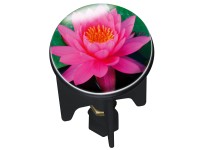 Waschbeckenstöpsel Pluggy Pink Lily Ø 3,9 x 6,5 cm