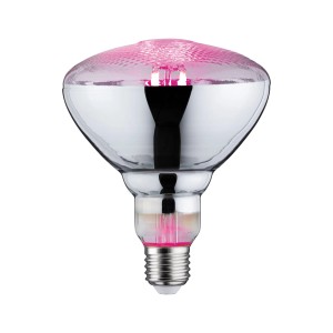 Lampada LED per piante Paulmann E27, 6.5W, riflettore Grow Green per la crescita delle piante.