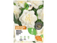 GROW by OBI Narzisse Obdam Weiss 45 cm / 4 Stk.