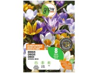 GROW by OBI Botanische Krokus-Mischung 8 Stk.