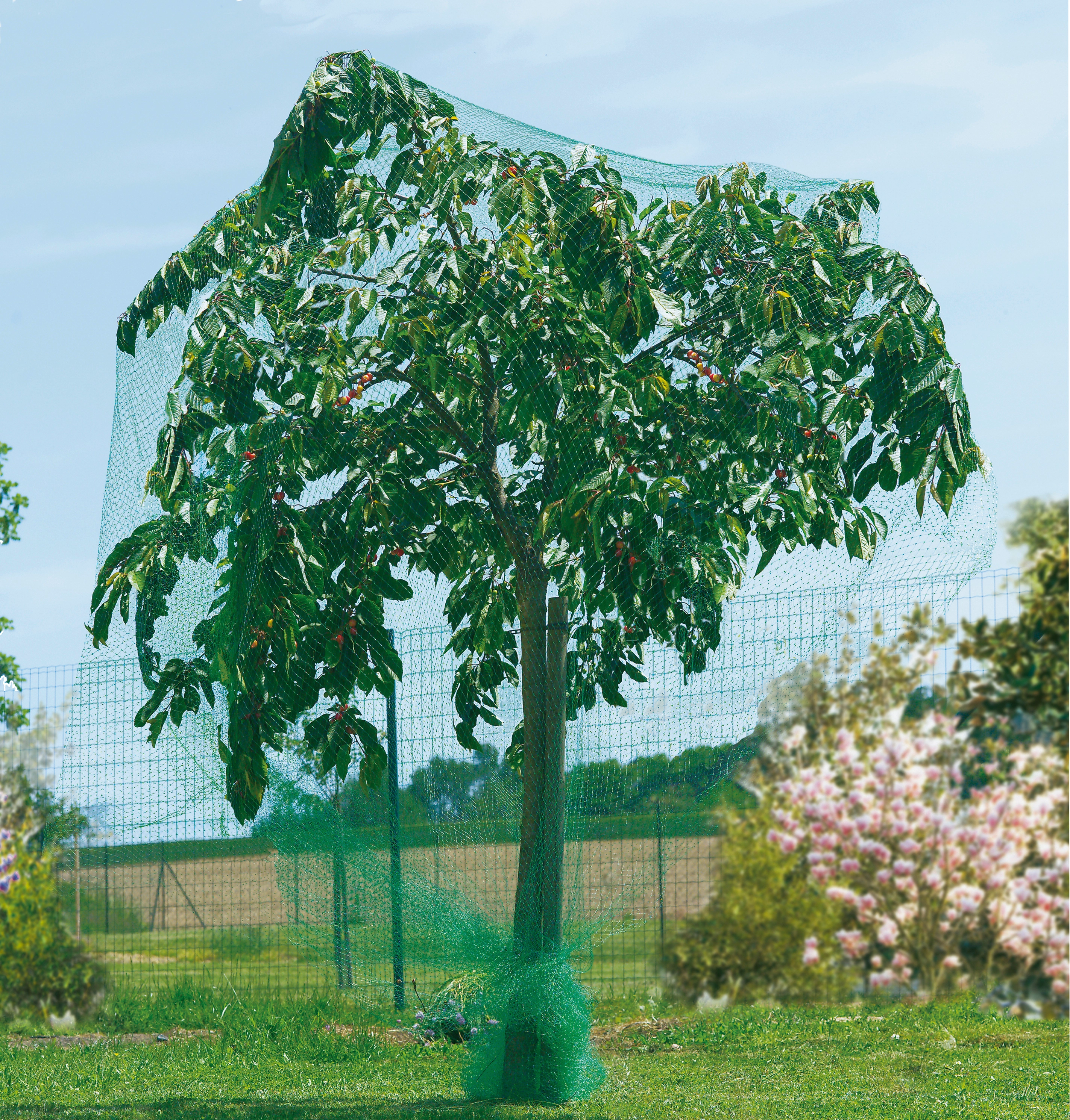 Filets de protection – Protection des arbres & arbustes