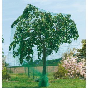 Albero con rete protettiva verde per uccelli Premium 5x2m per proteggere i frutti dai danni degli uccelli.