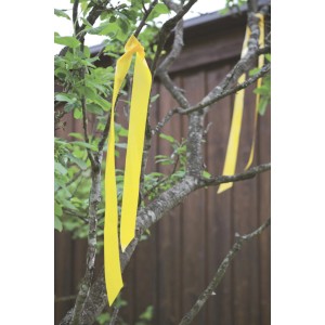 Nastro giallo Windhager per spaventare gli uccelli sull'albero, protezione efficace in giardino.