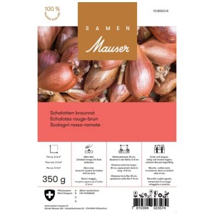 Scalogno Rosso-Ramato Samen Mauser, confezione da 350g. Cipolle da seme per l'orto.