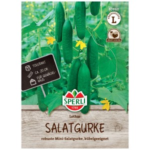 Sperli Graines de concombre Lothar F1, 7 plants. Plante de concombre avec des concombres verts mûrs et des fleurs jaunes.