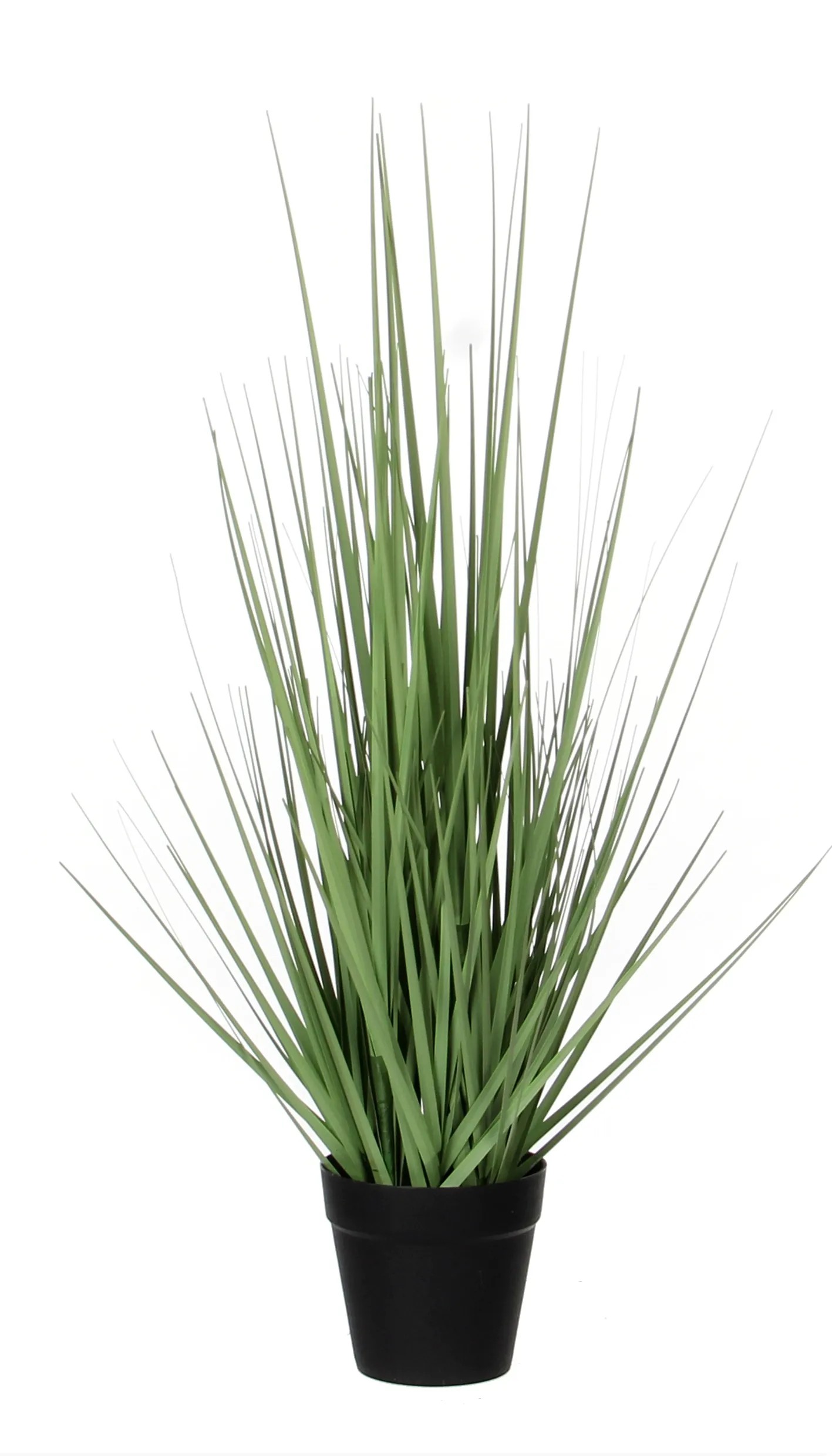 Mica Decorations Kunstpflanze Gras Grn  30 cm / Hhe 53 cm