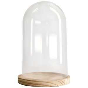 Campana in vetro con base in legno, trasparente, Ø 18 cm, altezza 28 cm. Campana decorativa in vetro per vasi.