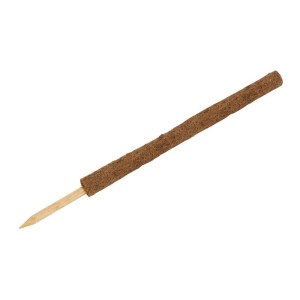 Tuteur en coco, 80 cm, support naturel pour plantes de jardin ou d'intérieur.