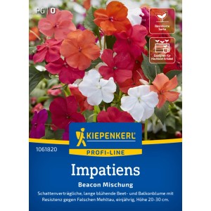 Graines de fleurs Kiepenkerl Impatiens Beacon Mix F1 avec des fleurs rouges, roses, oranges et blanches.