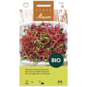 Semi di bietola rossa Ruby Red Microgreen bio con steli rossi e foglie verdi.