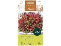 Samen Mauser Bio-Microgreen Mangold Ruby Red