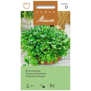 Sachet de graines de cresson de fontaine : Feuilles vertes fraîches en pot.