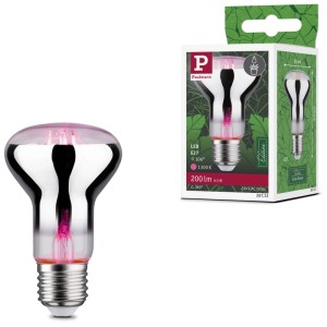 Lampada LED per piante Paulmann R63, E27, 6,5W. Luce speciale per la crescita delle piante in interni.