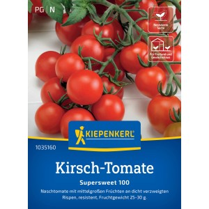 Tomate cerise Kiepenkerl Supersweet 100 F1 hybride avec des fruits rouges et ronds sur des grappes.