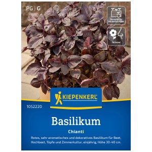 Graines de basilic Chianti Kiepenkerl avec des feuilles rouge foncé en pot.