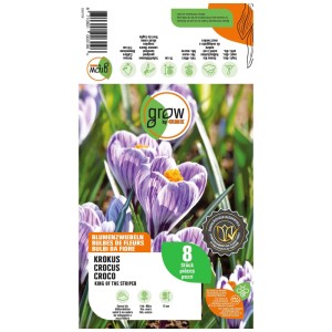 Confezione di bulbi di croco GROW by OBI King of the Striped, blu-striato, 8 pezzi.