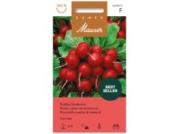 Saatband Radies Carnita