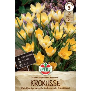 Sperli Wildkrokus Romance: Packung mit zartgelben Krokus-Blumenzwiebeln.