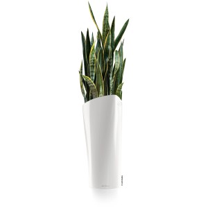 Pot de fleurs blanc Lechuza Delta Premium, 75 cm de haut, avec plante verte.