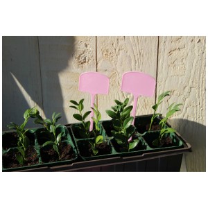 Videx Garden etichette per piante, color lilla fumo, set da 5 per la marcatura delle piantine.