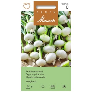 Samenpackung Frühlingszwiebel Vaugirard: Winterharte Gemüsesamen für den Garten.