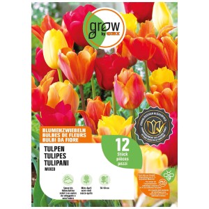 GROW by OBI Collezione Tulipani: Mix di tulipani rossi, gialli e arancioni, 12 pezzi.