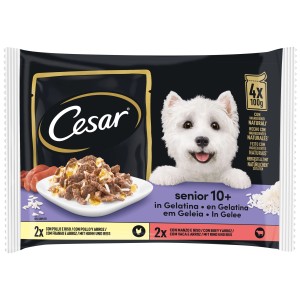 Cesar Senior 10+ cibo umido per cani, pollo e manzo con riso, 4x100g per cani anziani.