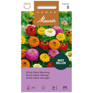 Sachet de graines de Zinnia Liliput mélange avec des petites fleurs colorées pour massifs et vases.