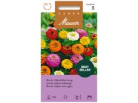 Zinnie Liliput Mischung