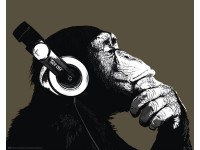 Deco Panel The Chimp - Stereo 40 x 50 cm