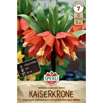 Sperli Blumenzwiebel Kaiserkrone Rubra