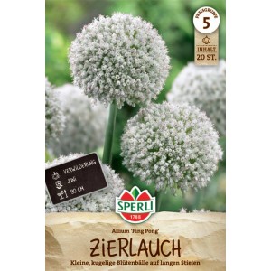 Bulbes de fleurs d'ail d'ornement 'Ping Pong' Sperli avec des fleurs blanches et sphériques sur de longues tiges.