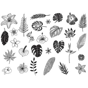 Set timbri Jungle: 29 timbri con motivi jungle e tampone per progetti creativi.