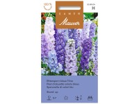 Rittersporn Stand-up blaue Töne