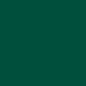 Smalto lucido color verde muschio OBI Premium, 2,5 l.