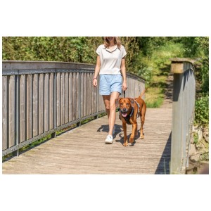 Cane con pettorina nera Trixie Premium Active (60-75 cm) su un ponte.