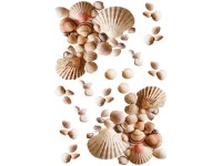 Kleine Wolke Deko-Aufkleber Shell Natur 23 x 34 cm