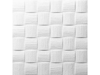 Deckenplatte Dublin Weiss 50 x 50 cm / 8 Platten