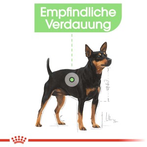 Royal Canin Digestive Care Mini cibo secco per cani con digestione sensibile, 3 kg.
