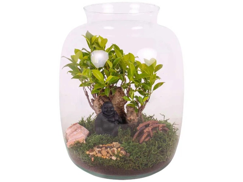 Bonsai in Glasvase mit Buddha Ø 25 cm kaufen bei OBI