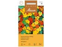 Kapuzinerkresse Whirlybird Kapuzinerkresse Whirlybird