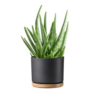 Scheurich Coprivaso antracite opaco con sottovaso in legno, diametro 15,7 cm.