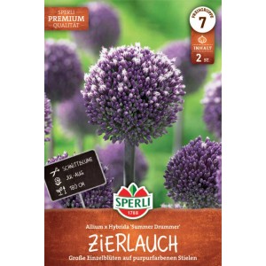 Sperli ail d'ornement Summer Drummer : Sachet avec des boules de fleurs violettes poussant droit.