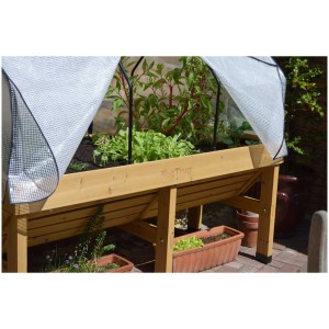 VegTrug aiuola rialzata Medium Naturale con copertura serra e piante in giardino.