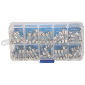 Jeu de fusibles temporisés, 5x20mm, 100 pièces assorties dans une boîte transparente.
