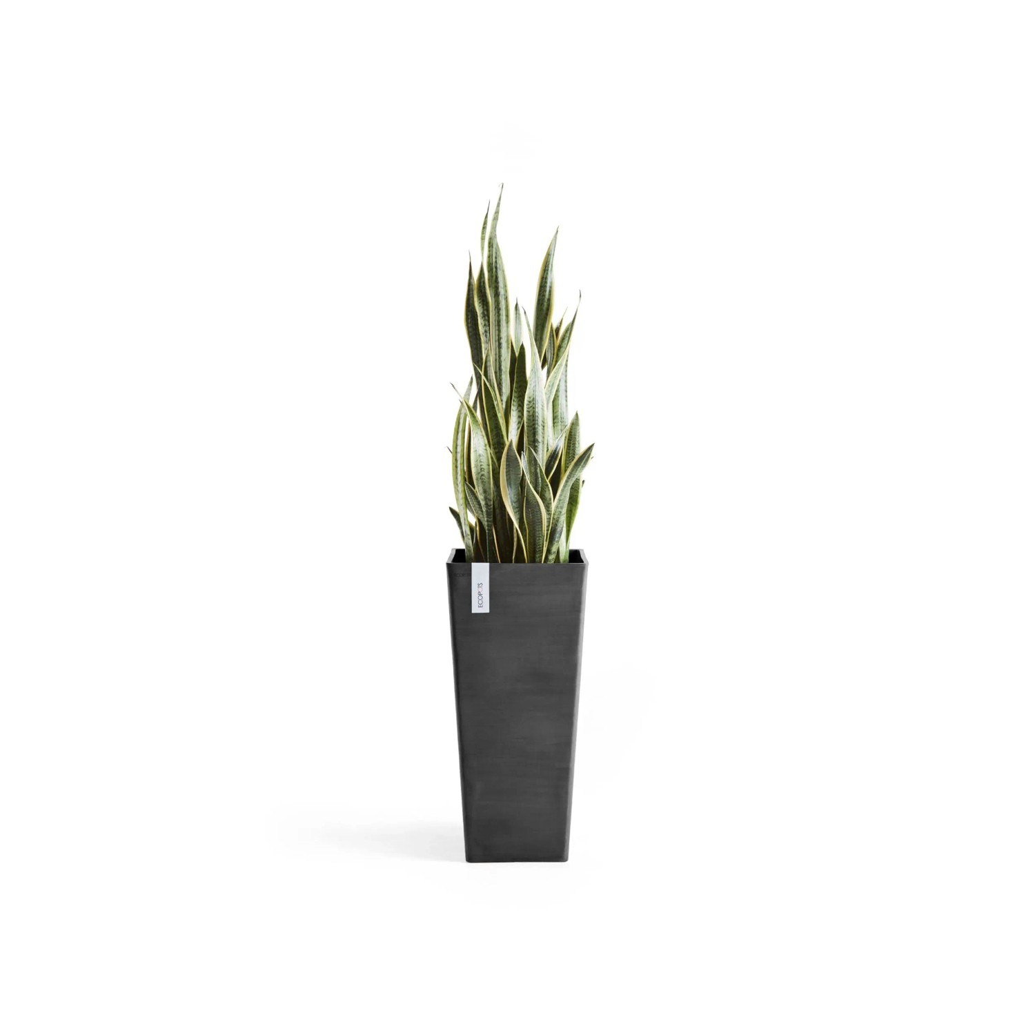 Sottovaso rotondo Ecopots 60 per vasi da fiori - L 50,5 cm x P 50,5 cm x A 3,5 cm - Grigio scuro - Uso interno ed esterno | Leroy Merlin